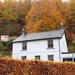 The Larches