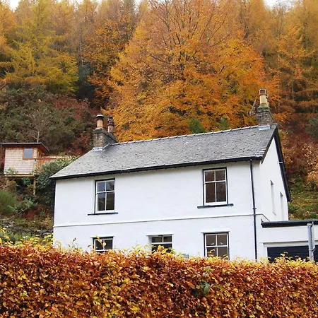 The Larches